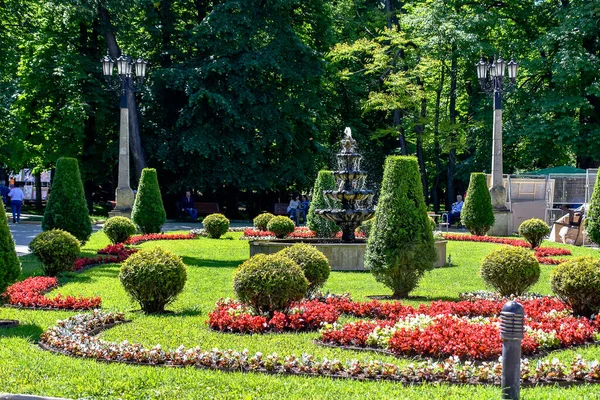 Yazın yeşil park. Kislovodsk. Kuzey Kafkasya. Kislovodsk 'ta bir park. Stavropol Bölgesi. Rusya
