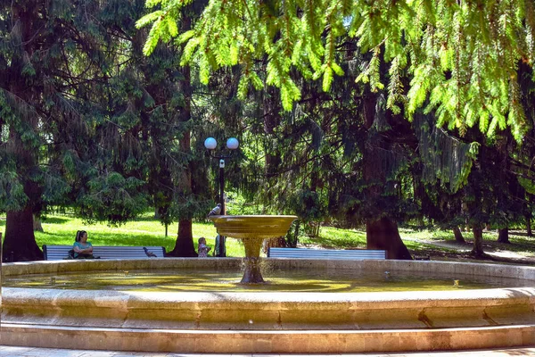 Fontana Nel Parco Verde Parco Kislovodsk Territorio Stavropol Russia — Foto Stock