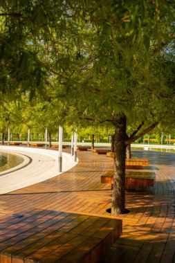 Yaz yeşil parkı Krasnodar