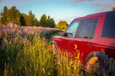 Araba lanet olası bir tarladan geçiyor.