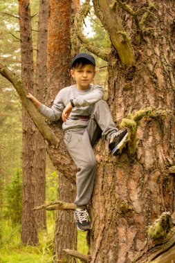 Bir çocuk bir ağacın dallarında oturur.
