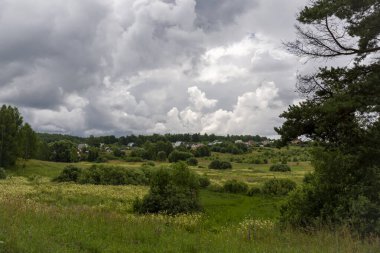 Yaz tarlası, nehir ve orman