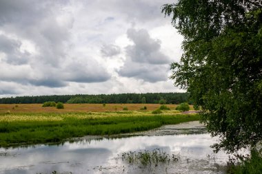 Yaz tarlası, nehir ve orman