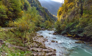 Sonbaharda dağ nehri
