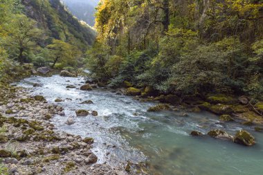 Sonbaharda dağ nehri