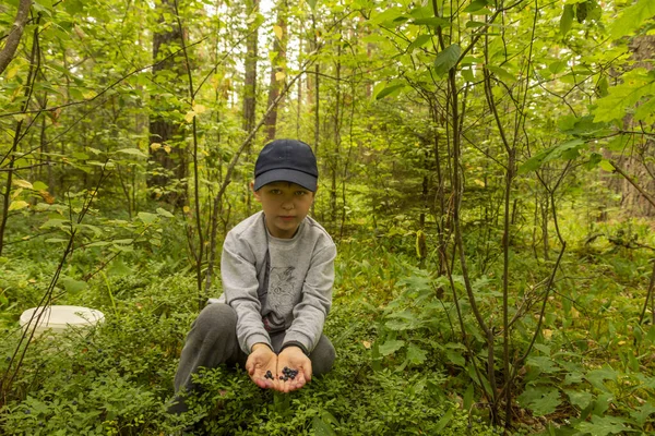 Ormandaki bir çocuk yaban mersini topluyor.