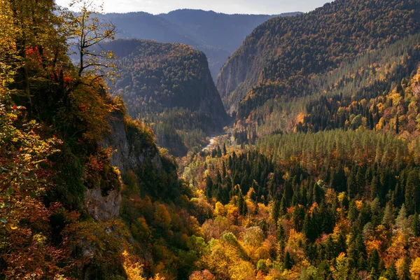 秋の山の間の道は — ストック写真