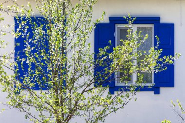 Mavi panjurlu pencere