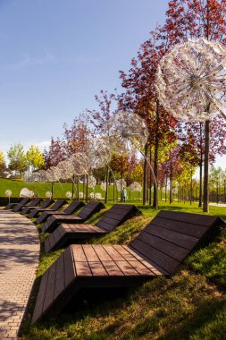 Yaz yeşil parkı Krasnodar