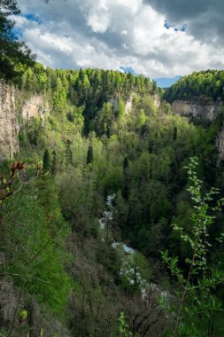 Kürdzhips Nehri manzarası, Mezmai çevresi, Krasnodar Bölgesi