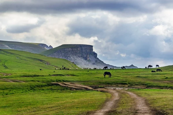 Bulutlu ve mavi gökyüzü manzaralı. Bermamyt Platosu. Rusya.