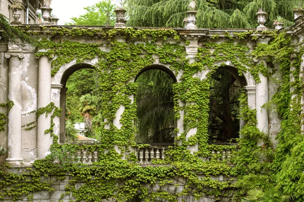 Yeşil bitkilerle çevrili eski binanın kemeri.