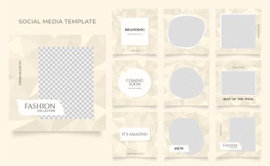 Sosyal medya afiş satış promosyonunu tasvir ediyor. Tamamen düzenlenebilir Instagram ve Facebook kare kare kare kare kare kare kare kare yapboz organik satış posteri. haki bej renk vektörü arkaplanı