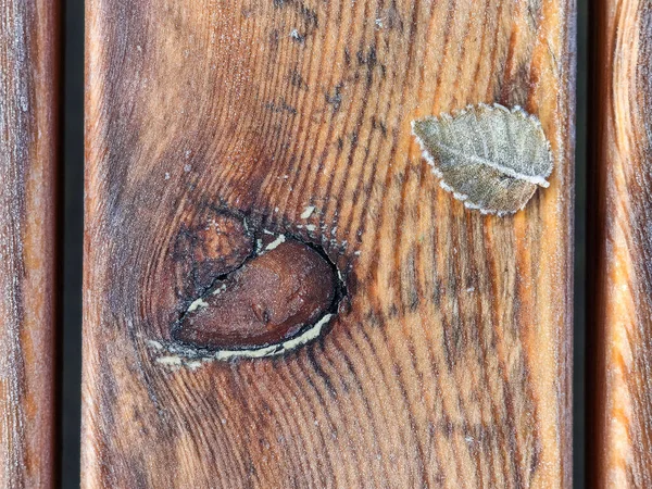 Ağaç yaprağı, ahşap bir yüzeyde donla kaplıdır.