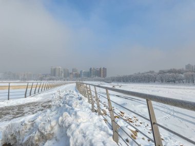 Karla kaplı ağaçlarla kaplı kış şehirleri
