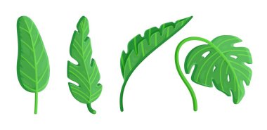 A set of tropical leaves. Vector illustration of volumetric drawings of leaves. Leaves falling from trees. clipart