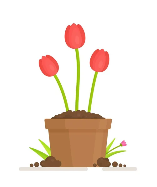 Тюльпаны Вазе Векторная Иллюстрация Посадки Цветов Саду Поляне Растение Растущее — стоковый вектор