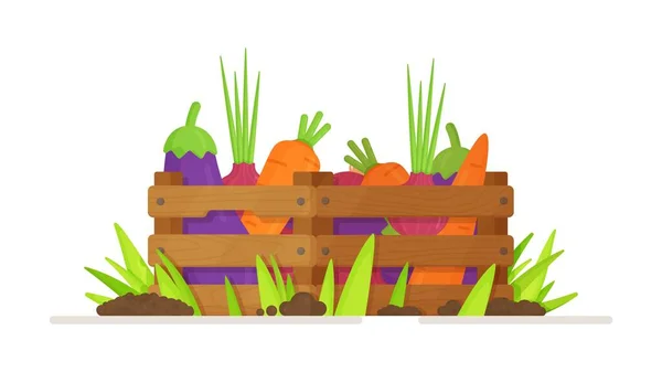 Een Krat Groenten Het Gras Vector Illustratie Van Oogsten Een — Stockvector