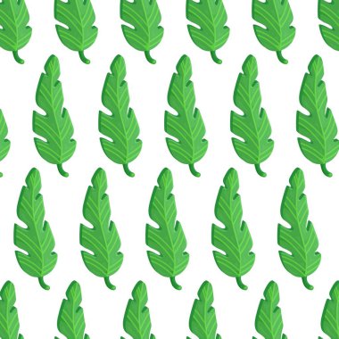 Vector illustration of a tropical leaf pattern. In botany, the outer organ of a plant whose main functions are photosynthesis, gas exchange, and transpiration. Widespread in the tropical, equatorial and subequatorial belts. clipart