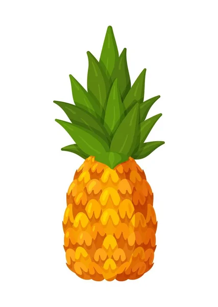 Ilustración Vectorial Una Piña Aislada Sobre Fondo Blanco Frutas Verano — Vector de stock