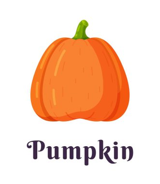 Beyaz arka planda izole edilmiş bir balkabağının vektör çizimi. Cadılar Bayramı balkabağı ikonu. Gülümseyen ve mutlu yüzlü korkutucu Cadılar Bayramı balkabağı. Portakal kabağı silueti.