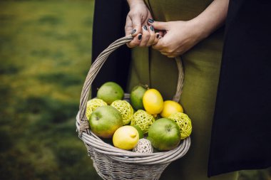 Elinde taze elma ve limon dolu sepeti olan bir kadın.