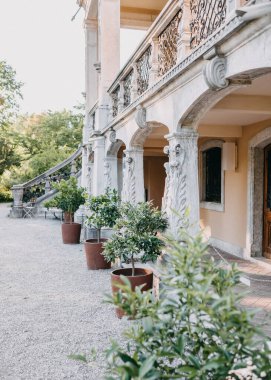 Bahçede saksıları olan antik bir binanın manzarası.
