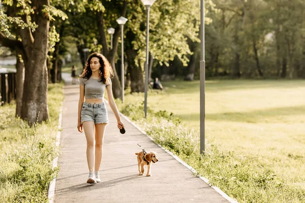 Vacker Ung Kvinna Med Sin Cocker Spaniel Valp Tillbringa Tid — Stockfoto