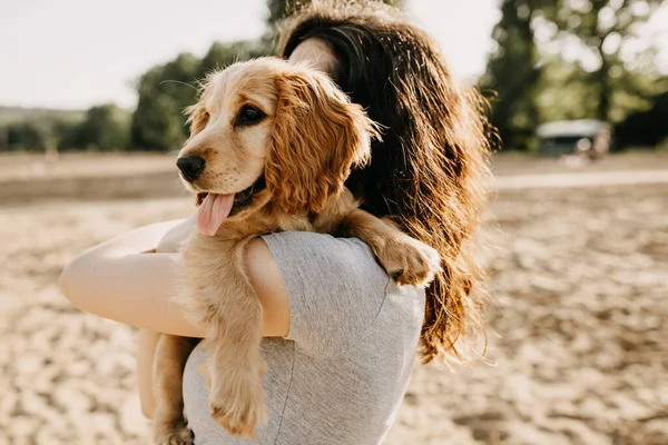 Piękna Młoda Kobieta Jej Cocker Spaniel Szczeniak Spędzać Czas Razem — Zdjęcie stockowe