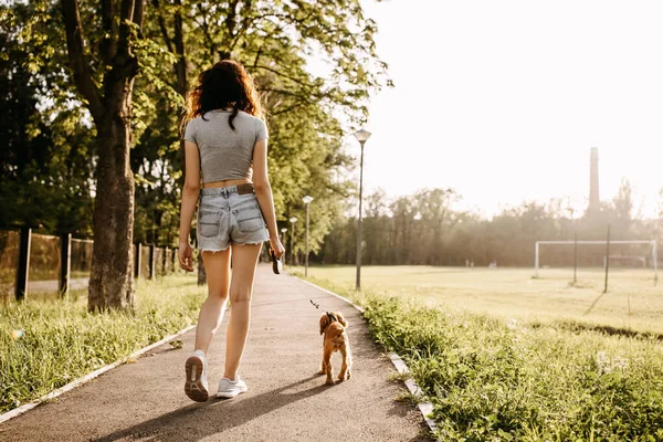 漂亮的年轻女子和她的猎狗小狗一起在公园里度过时光 — 图库照片