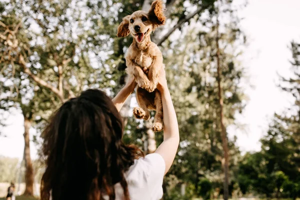 Bela Jovem Mulher Com Seu Cocker Spaniel Filhote Cachorro Passar — Fotografia de Stock