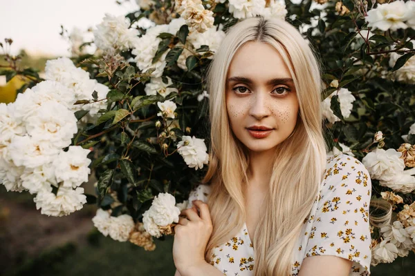 庭の白いバラの茂みの前でドレスを着た美しい若い女性の肖像画 — ストック写真