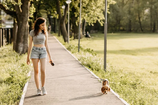 Beautiful Young Woman Her Cocker Spaniel Puppy Spending Time Together — Stock Photo, Image