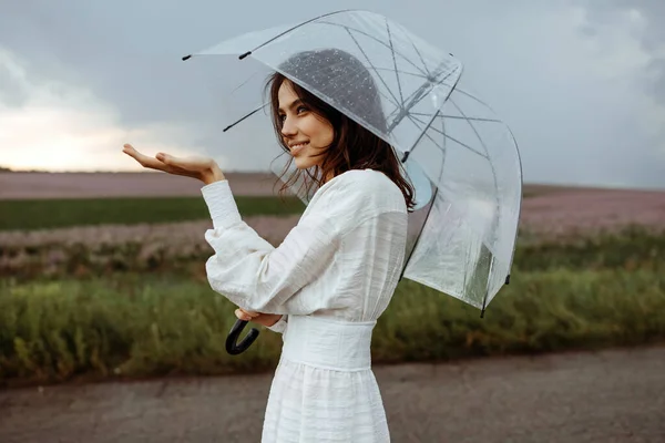 Portrét Krásné Mladé Ženy Šatech Průhledným Deštníkem Květinové Louce — Stock fotografie