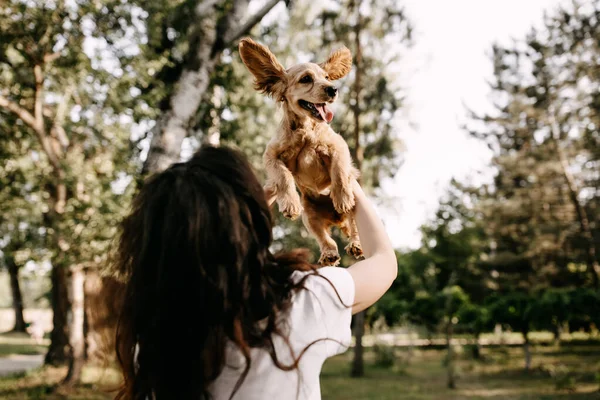 Cocker Spaniel Köpeğiyle Birlikte Parkta Vakit Geçiren Güzel Genç Bir — Stok fotoğraf