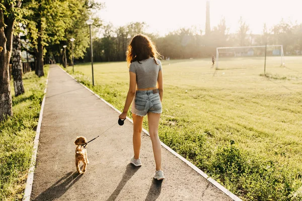 Vacker Ung Kvinna Med Sin Cocker Spaniel Valp Tillbringa Tid — Stockfoto