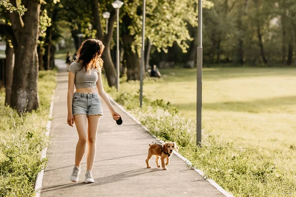 Vacker Ung Kvinna Med Sin Cocker Spaniel Valp Tillbringa Tid — Stockfoto