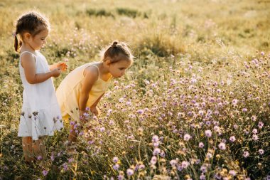 Doğada giyinmiş güzel kız kardeşlerin portresi.