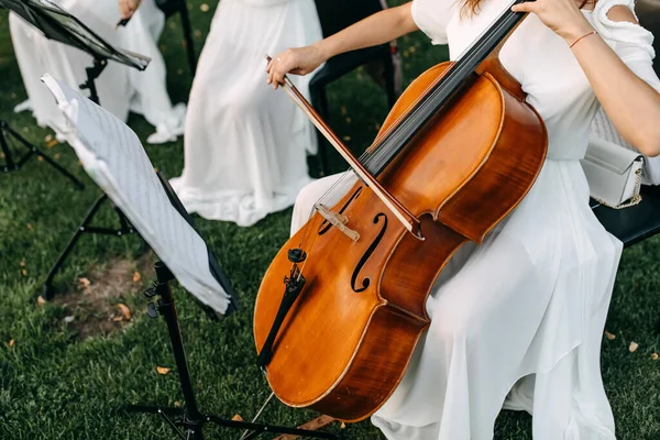cropped shot of musician of wedding orchestra playing cello in garden