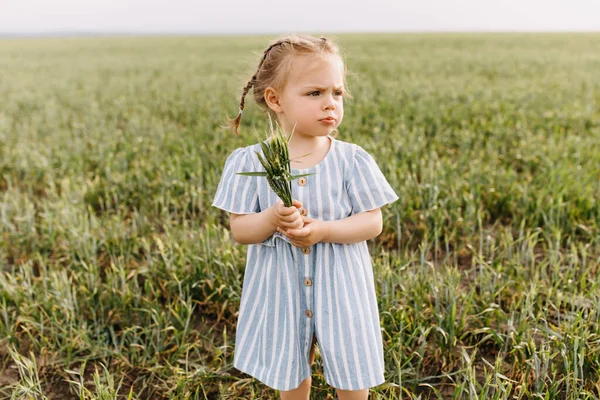 Porträtt Bedårande Liten Flicka Grönt Fält — Stockfoto