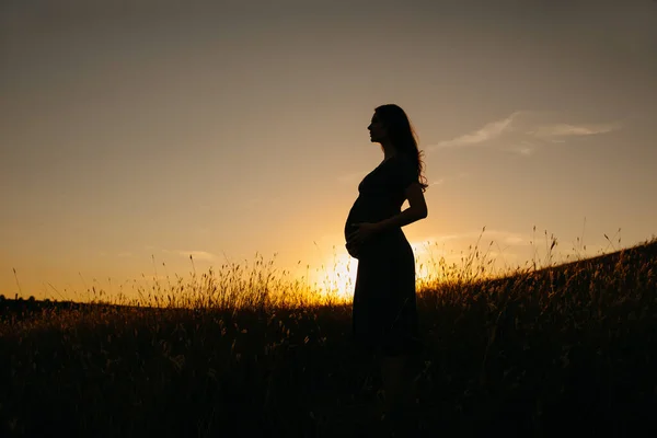 Sylwetka Pięknej Kobiety Ciąży Sukience Stojącej Polu Pszenicy Zachodzie Słońca — Zdjęcie stockowe