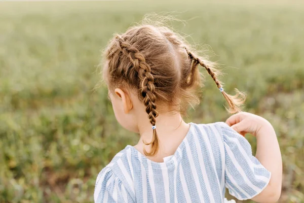 Портрет Чарівної Маленької Дівчинки Зеленому Полі — стокове фото