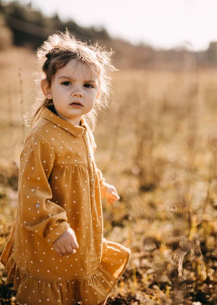 Adorable Little Girl Stylish Dress Nature — Stock Photo, Image