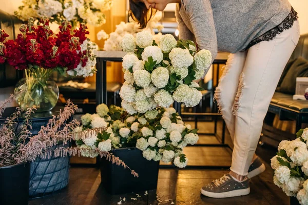 美しいライラック花束を作る若い花屋 — ストック写真