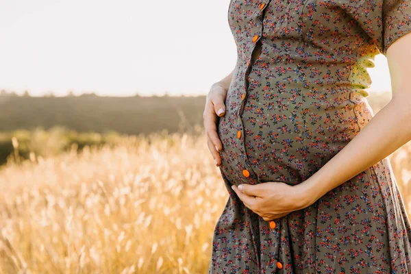 Bijgesneden Schot Van Zwangere Vrouw Jurk Staande Tarweveld Bij Zonsondergang — Stockfoto