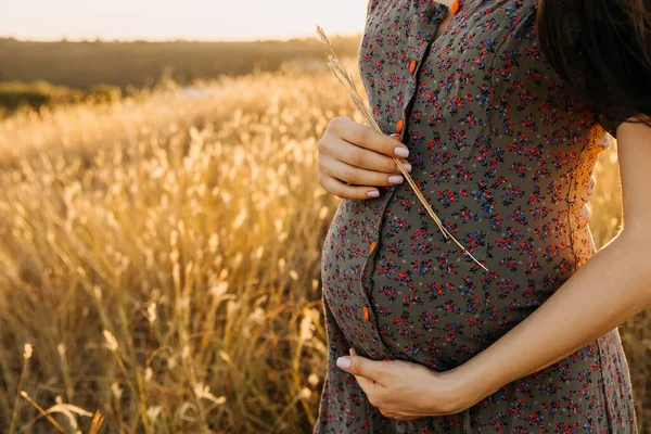 Bijgesneden Schot Van Zwangere Vrouw Jurk Staande Tarweveld Bij Zonsondergang — Stockfoto