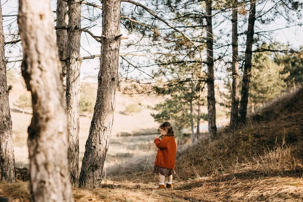 Bedårande Liten Flicka Snygg Klänning Naturen — Stockfoto