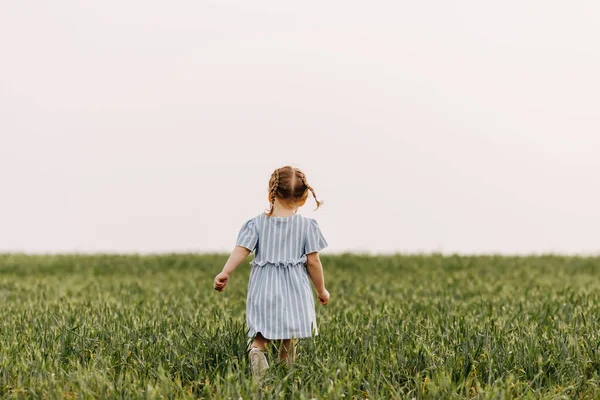 Ritratto Adorabile Bambina Campo Verde — Foto Stock