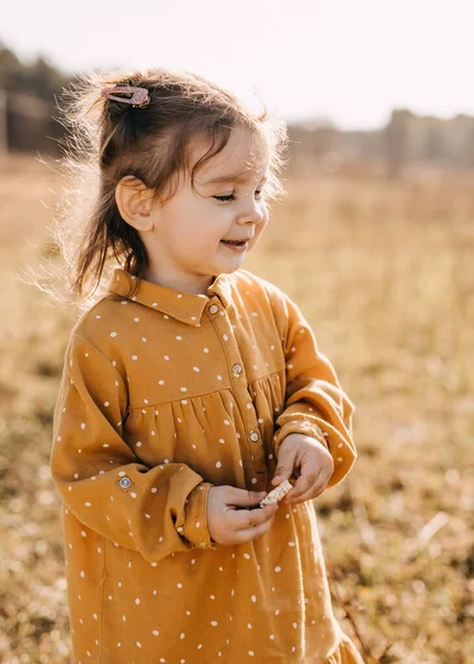 Прелестная Маленькая Девочка Стильном Платье Природе — стоковое фото