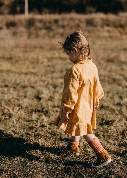 Bedårande Liten Flicka Snygg Klänning Naturen — Stockfoto